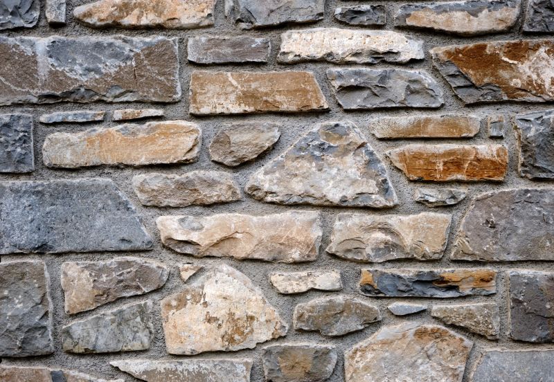 Interior Stone Accent Wall